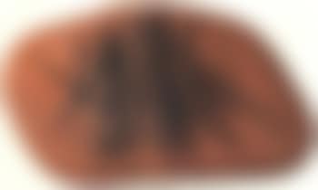 Untitled - painted stone (preview)