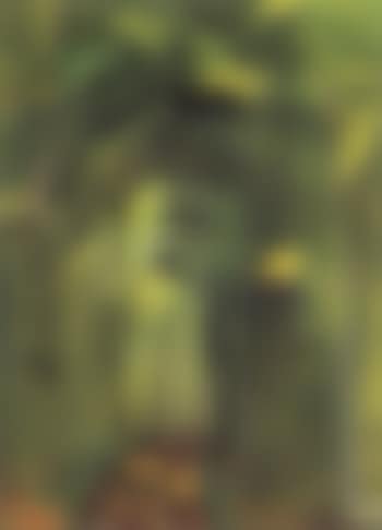Wooded landscape (preview)