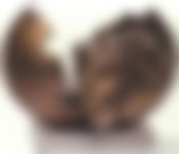 Face in ball (preview)