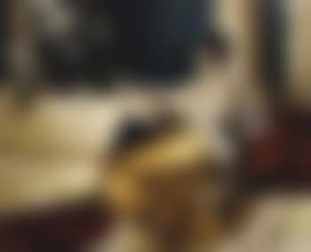Mandolin player (preview)