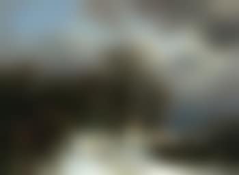 Figure walking a dog on a path in winter landscape (preview)