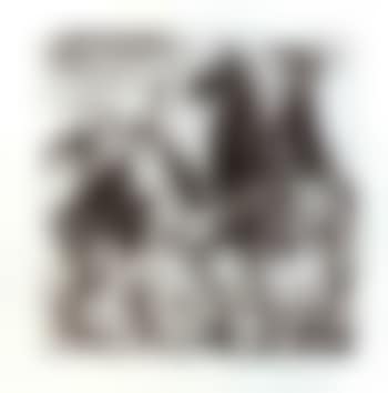 Enlevement II (preview)