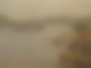 Misty day (preview)
