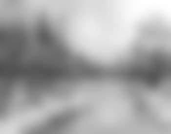 Winter Thompson Common, Norfolk (preview)