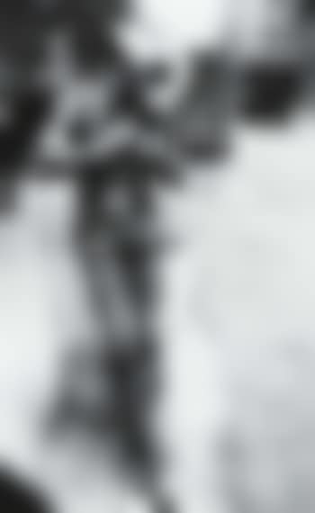 Rodeo cowboy, Madison Square Garden (preview)