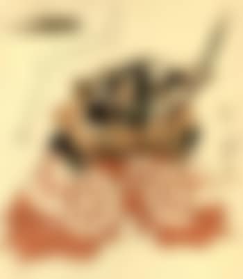 Actor Ichikawa Danjuro VII (preview)