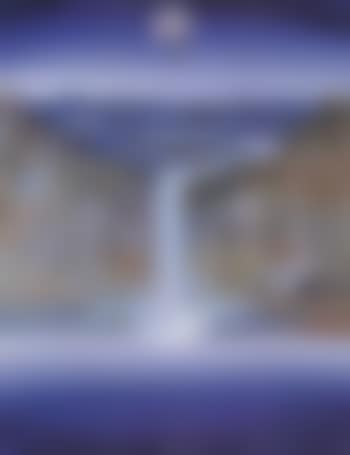 Shoalhaven riverbank with rose (preview)