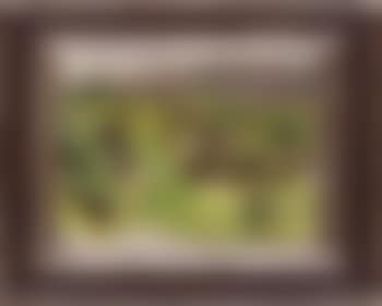 Meadows among knob of rocks (preview)