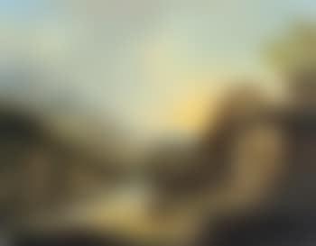 Rhine river landscape (preview)