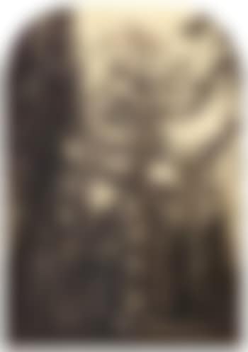 Grizzly giant (preview)