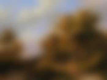 Travelers resting on a forest path in a wooded valley (preview)