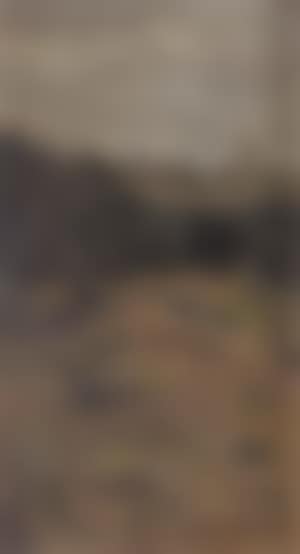 Landscape (preview)