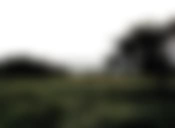 Laacher meadow (preview)