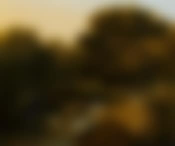 Wooded river landscape (preview)