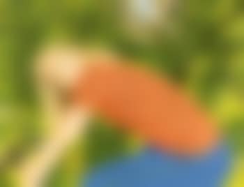 Bicycle rider (preview)