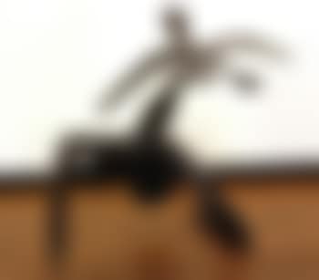 On one knee (preview)