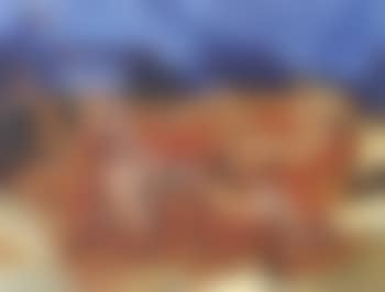 Frishman Beach scene (preview)