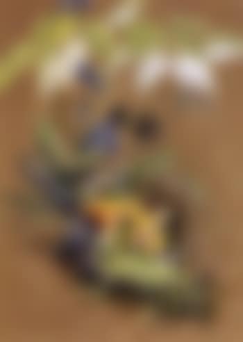Caterpillars (preview)