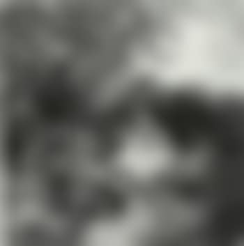 Peasant woman on track to farmstead (preview)