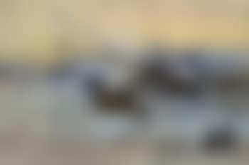 Salutorget, Helsinki with figures (preview)