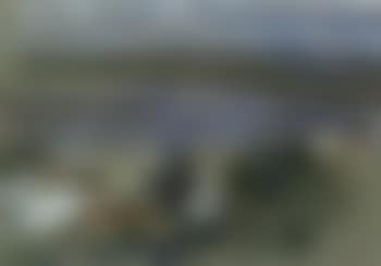 View from Tangier (preview)