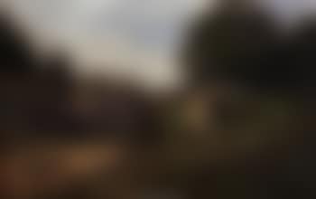 Landscape from Regenstein (preview)