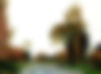 Canterbury road (preview)