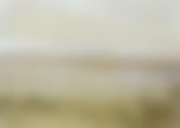 At Chiemsee (preview)