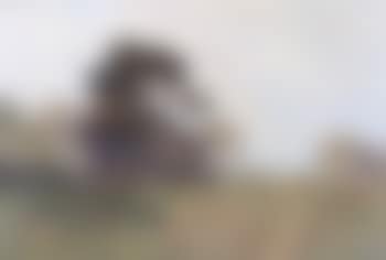 Farm (preview)