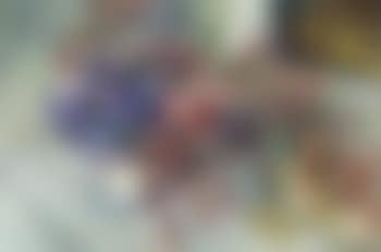 Still life of flowers (preview)