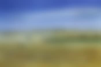 Wimmera landscape (preview)