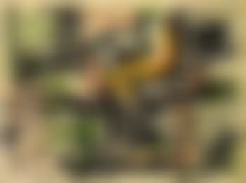 Untitled (preview)