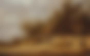 Dune landscape with peasants conversing by a farm (preview)