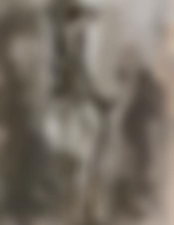 Cavallo e cavaliere (preview)