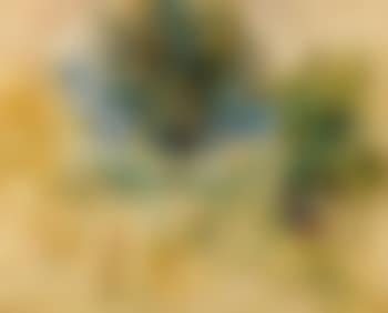 Paysage (preview)