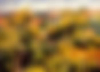 La petite ville derriere les arbres (preview)