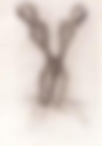 Untitled (preview)