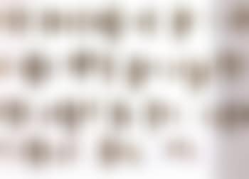 Flock (preview)