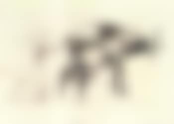 Side view of bull (preview)