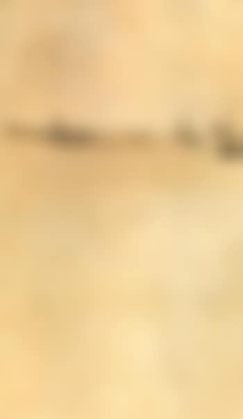 Beach scene (preview)
