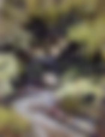 River (preview)