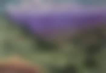 Lake Albert, Africa (preview)