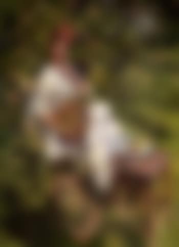 Apples in the garden (preview)