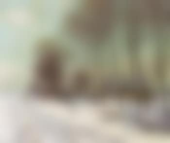 Snow clad fields in morning light (preview)