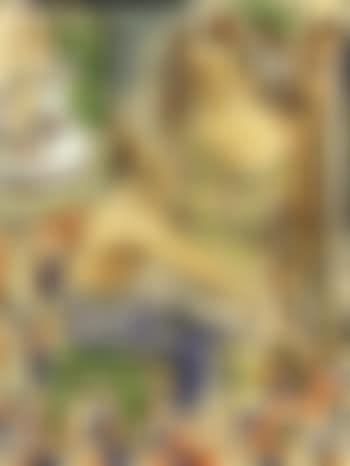 Mujer peinando a su amante (preview)
