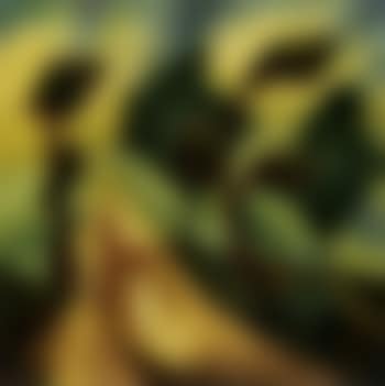 Sombra del caminante (preview)