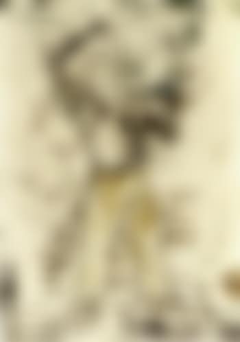 Obrero (preview)
