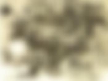 Nude with flowers (preview)
