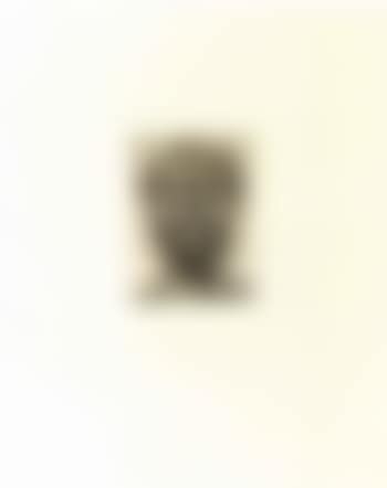 Self portrait (preview)