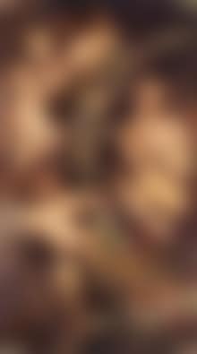 Venus surrounded by a garland of flowers and putti and Helana fourment. Garland of flowers and putti (preview)